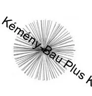 SL2000 Kézi rozsdamentes acél kémény tisztító kefe 150-200mm M12 külső menettel.